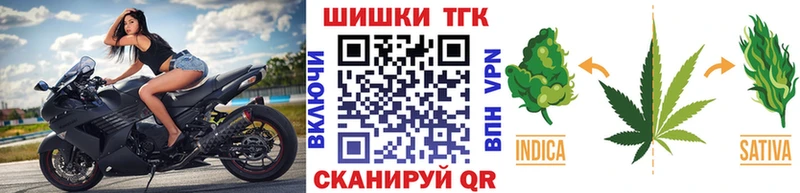 Марихуана план  Купить  Кингисепп 